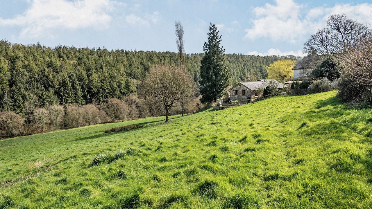 Photo of Others in Sidmouth