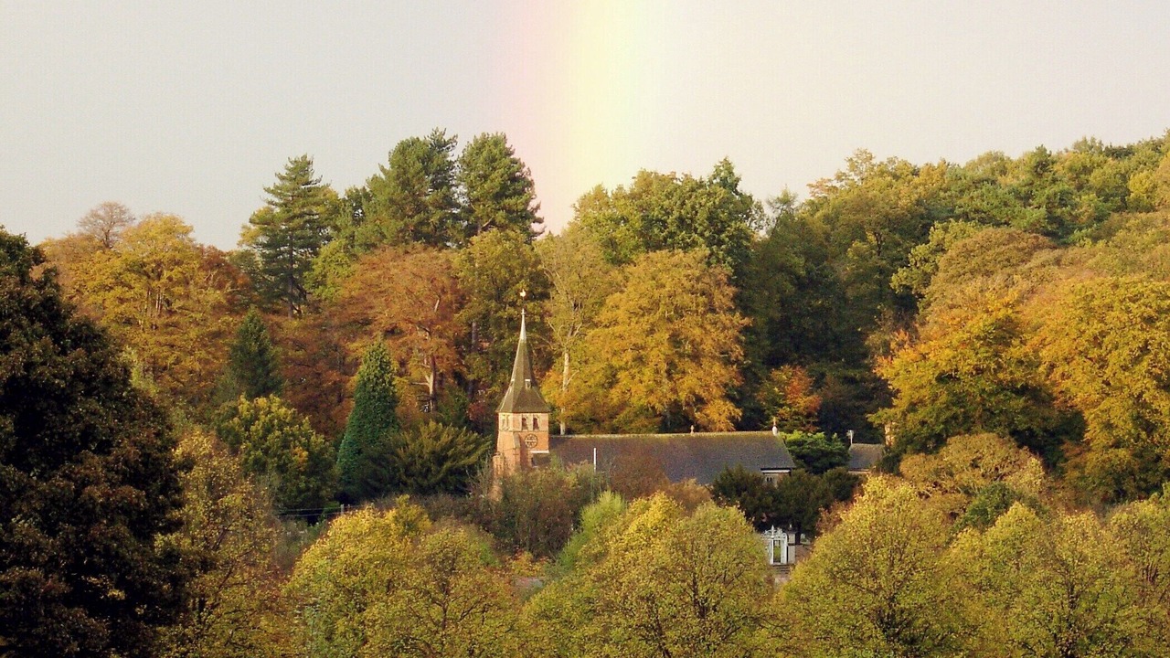 Photo of Others in Whitegate