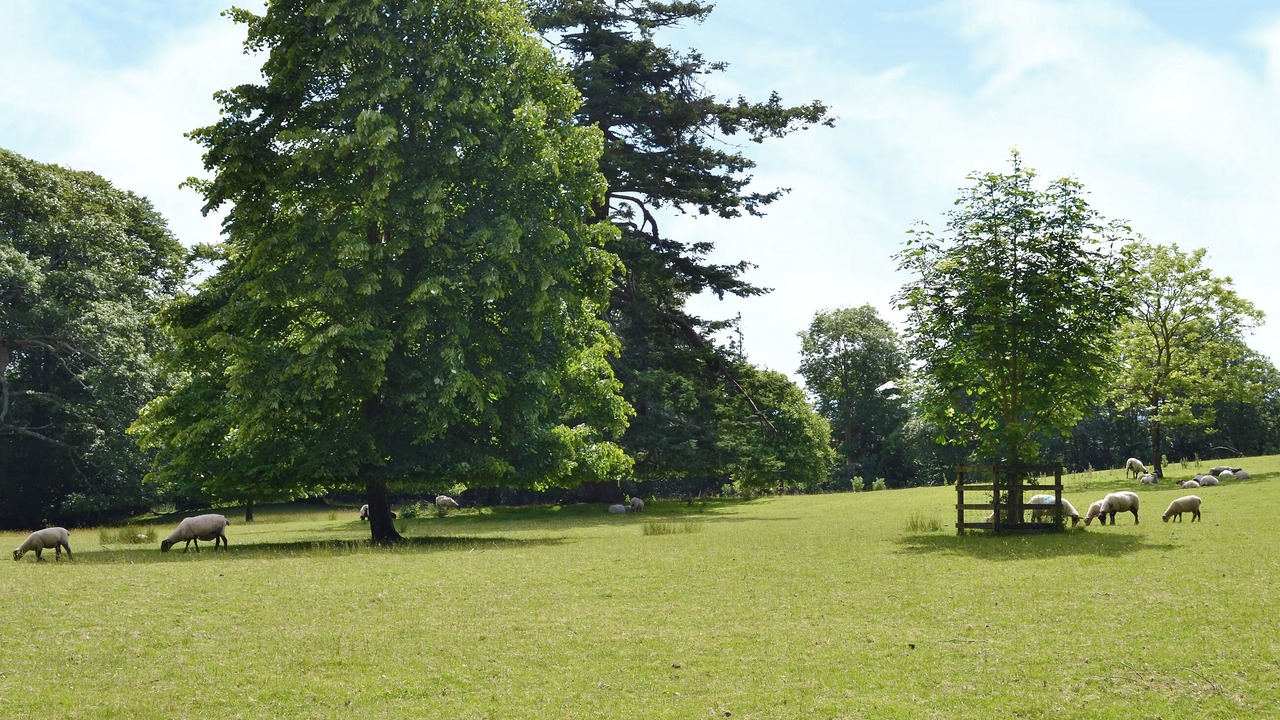 Photo of Outdoor in Westleigh