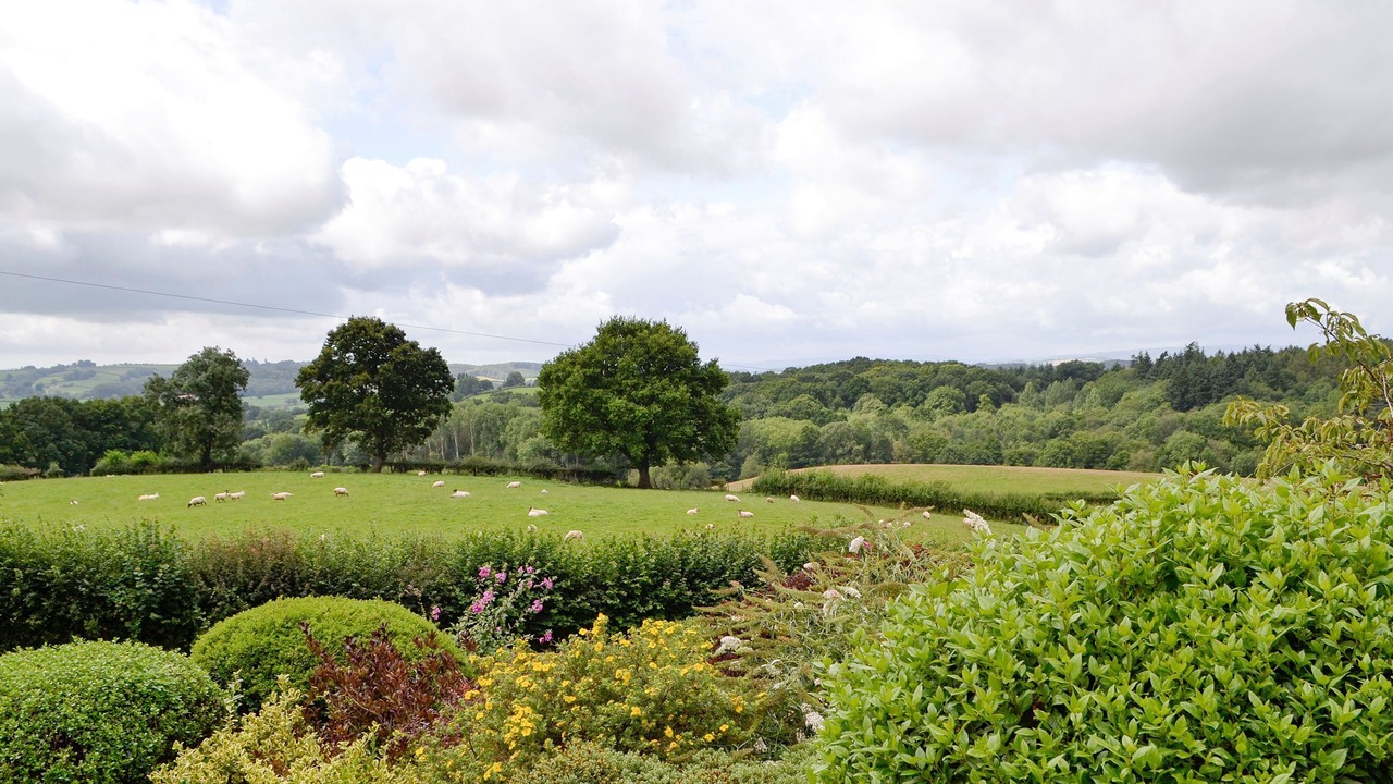 Photo of Others in Monmouth