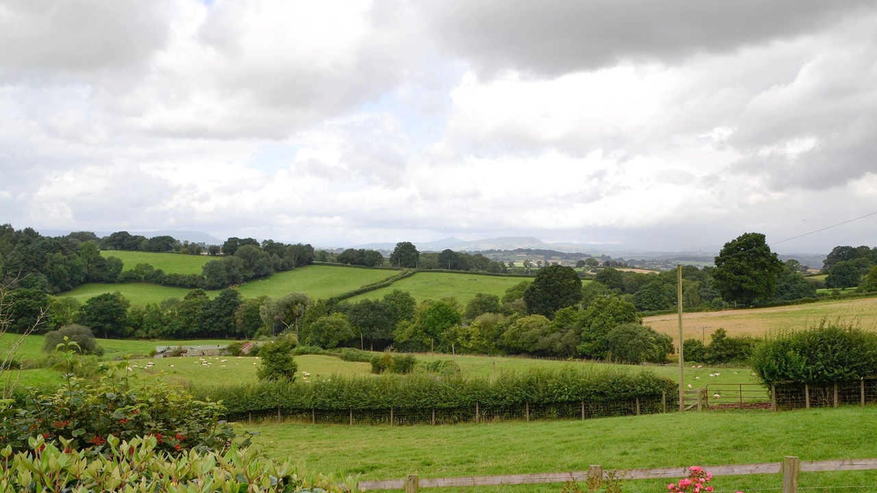 Photo of Others in Monmouth