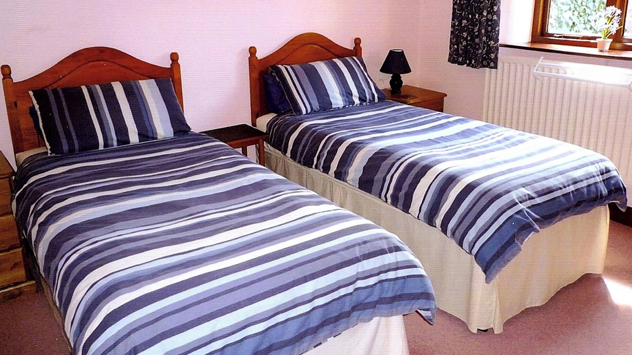 Photo of Others in Rock