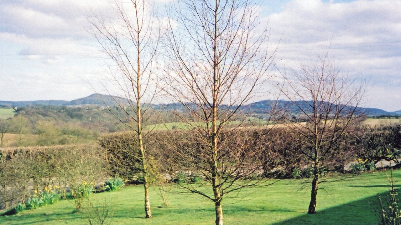 Photo of Others in Rock