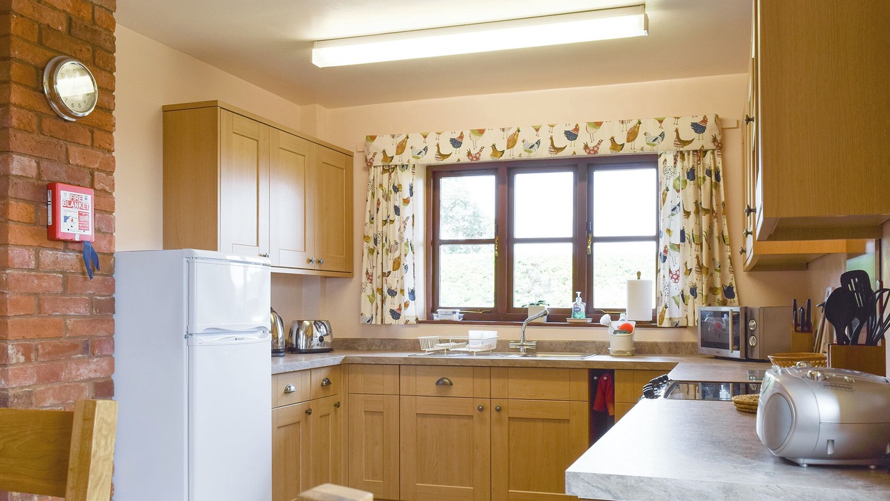 Photo of Others in Rock