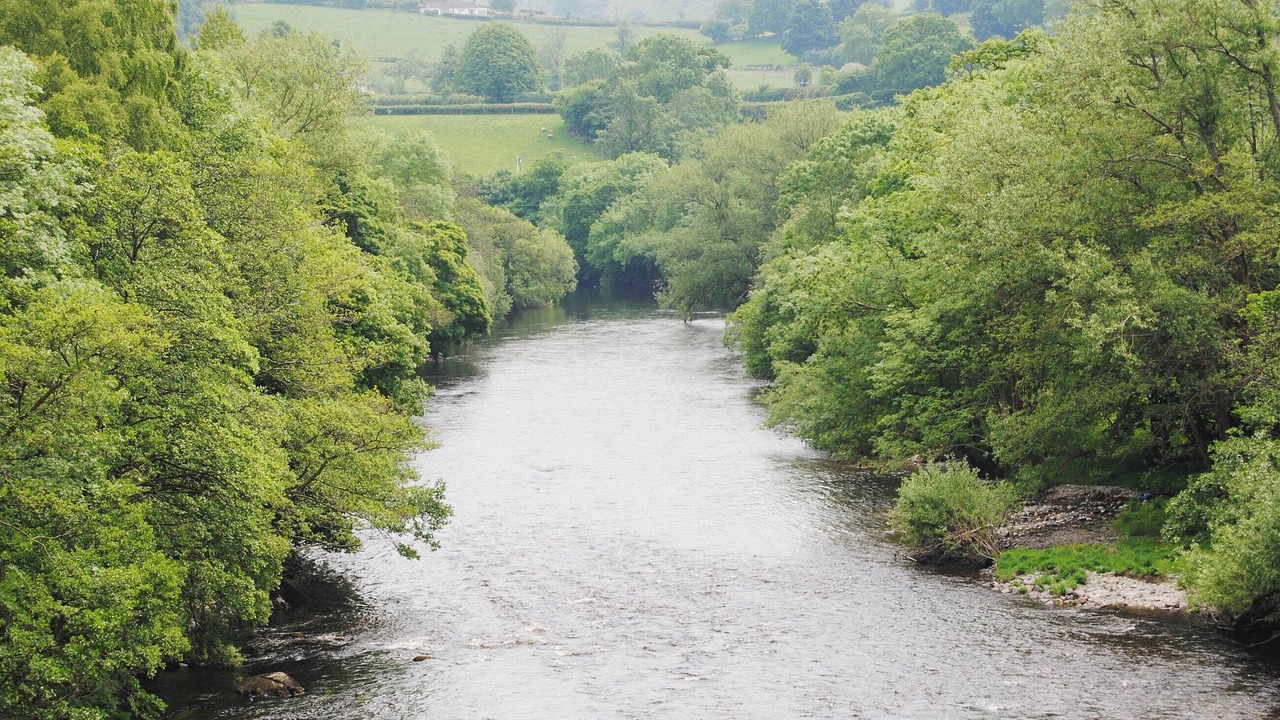 Photo of Others in Llandrillo