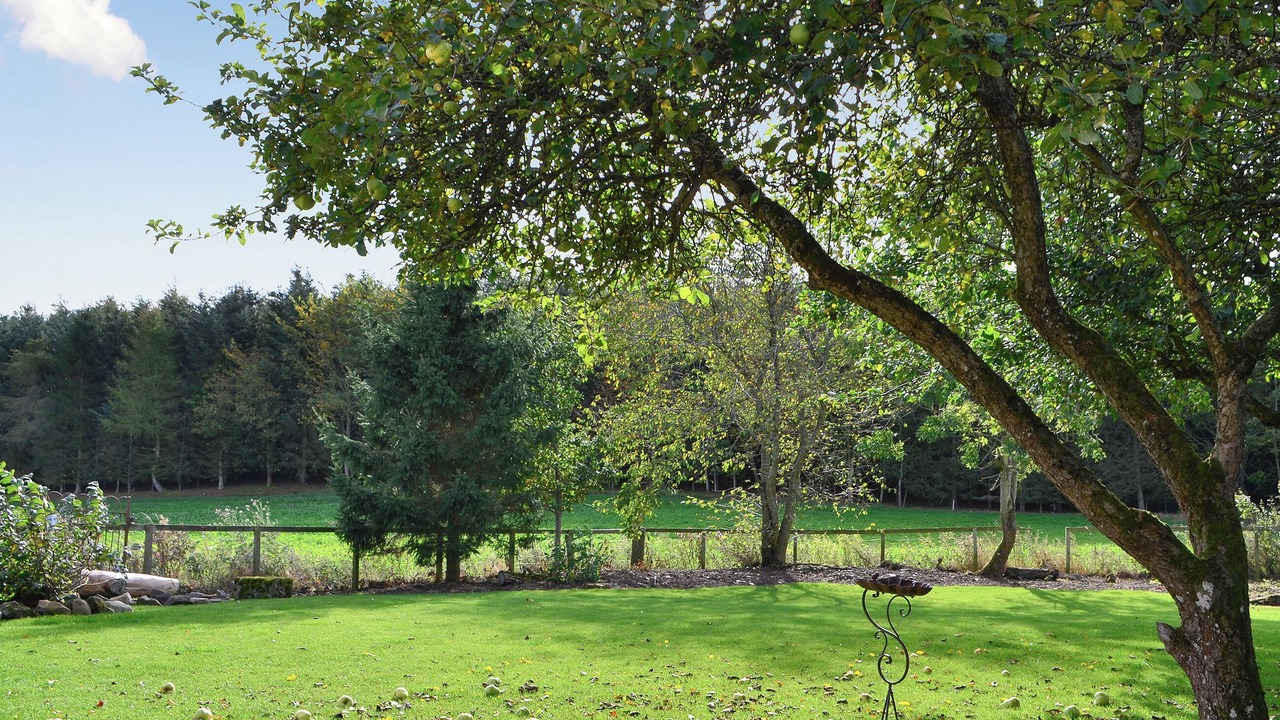 Photo of Others in Duns