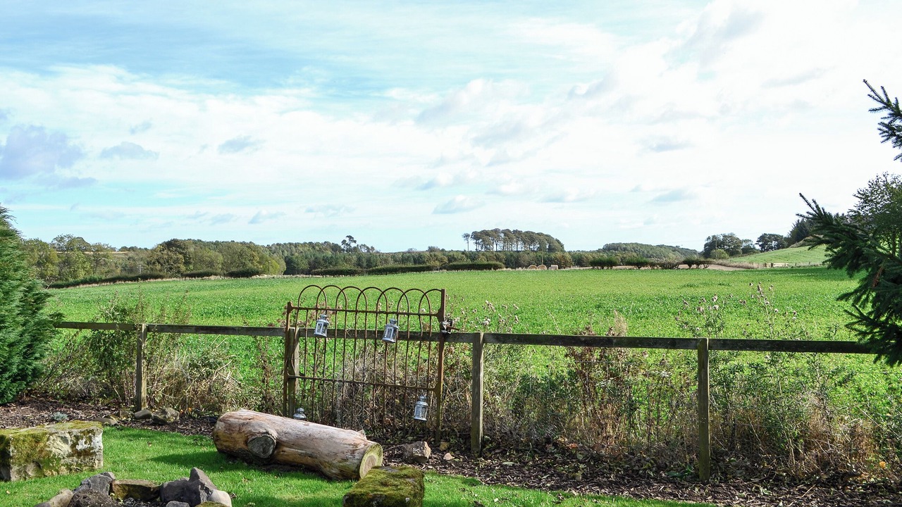 Photo of Others in Duns