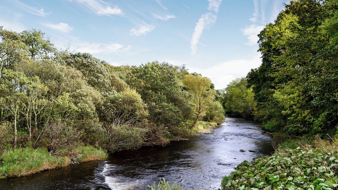 Photo of Others in Duns