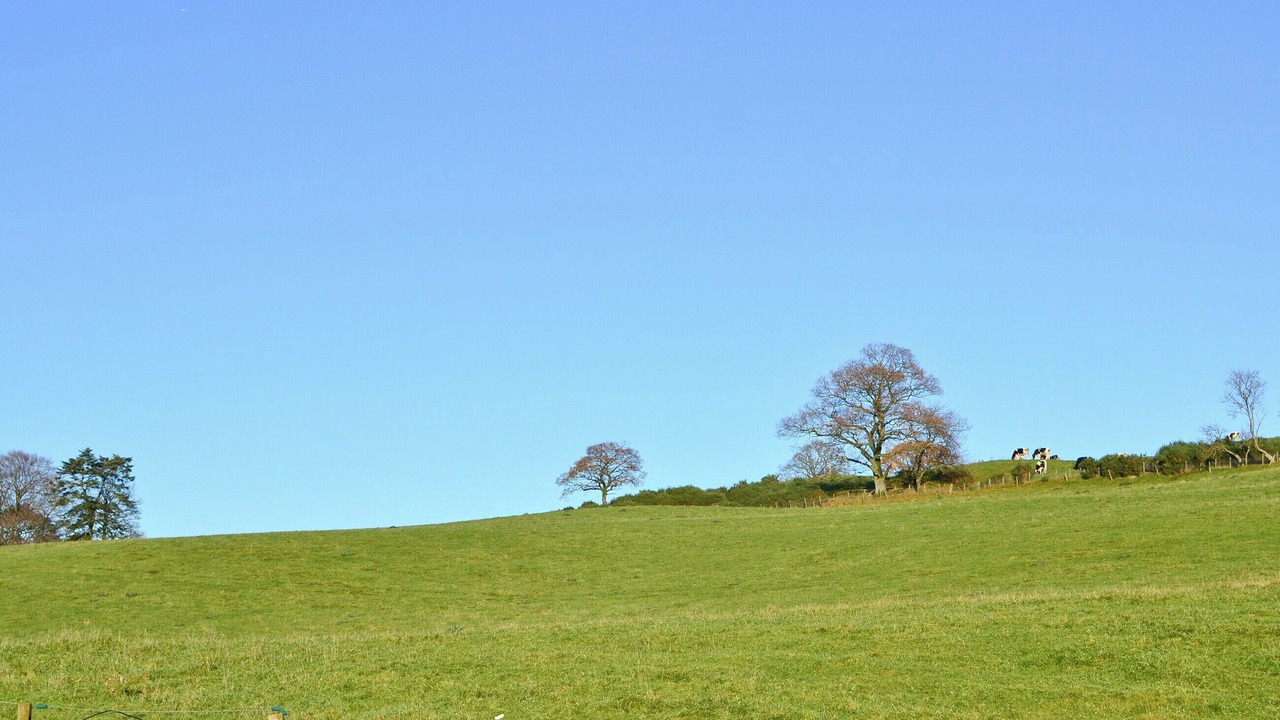 Photo of Others in Thornhill