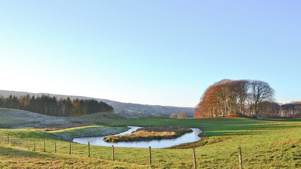 Photo of Others in Thornhill