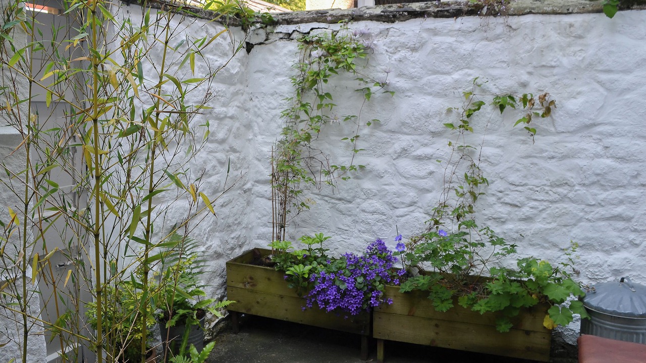 Photo of Outdoor in South Charlton