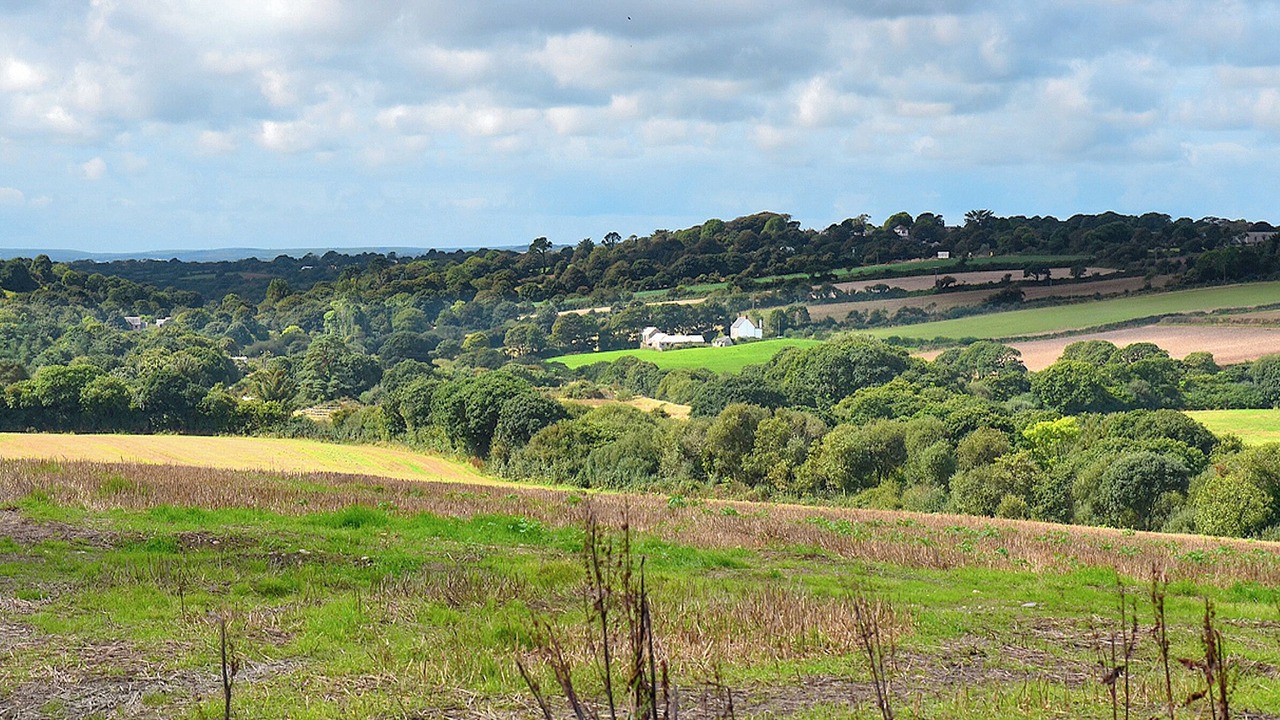 Photo of Outdoor in Saint Erth Praze