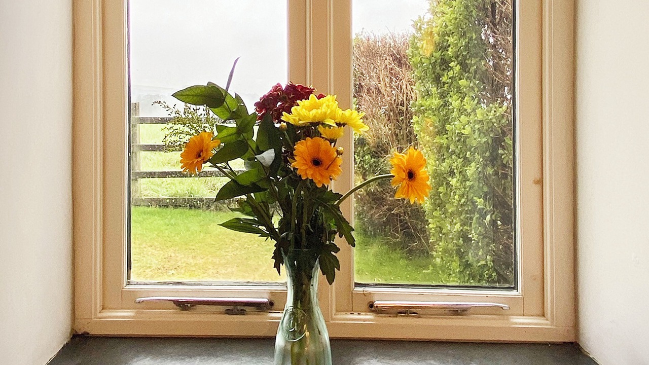 Photo of Others in Saint Erth Praze