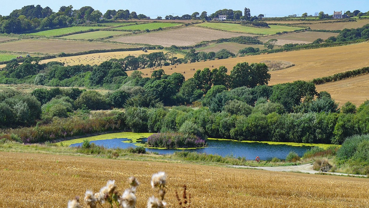 Photo of Outdoor in Saint Erth Praze