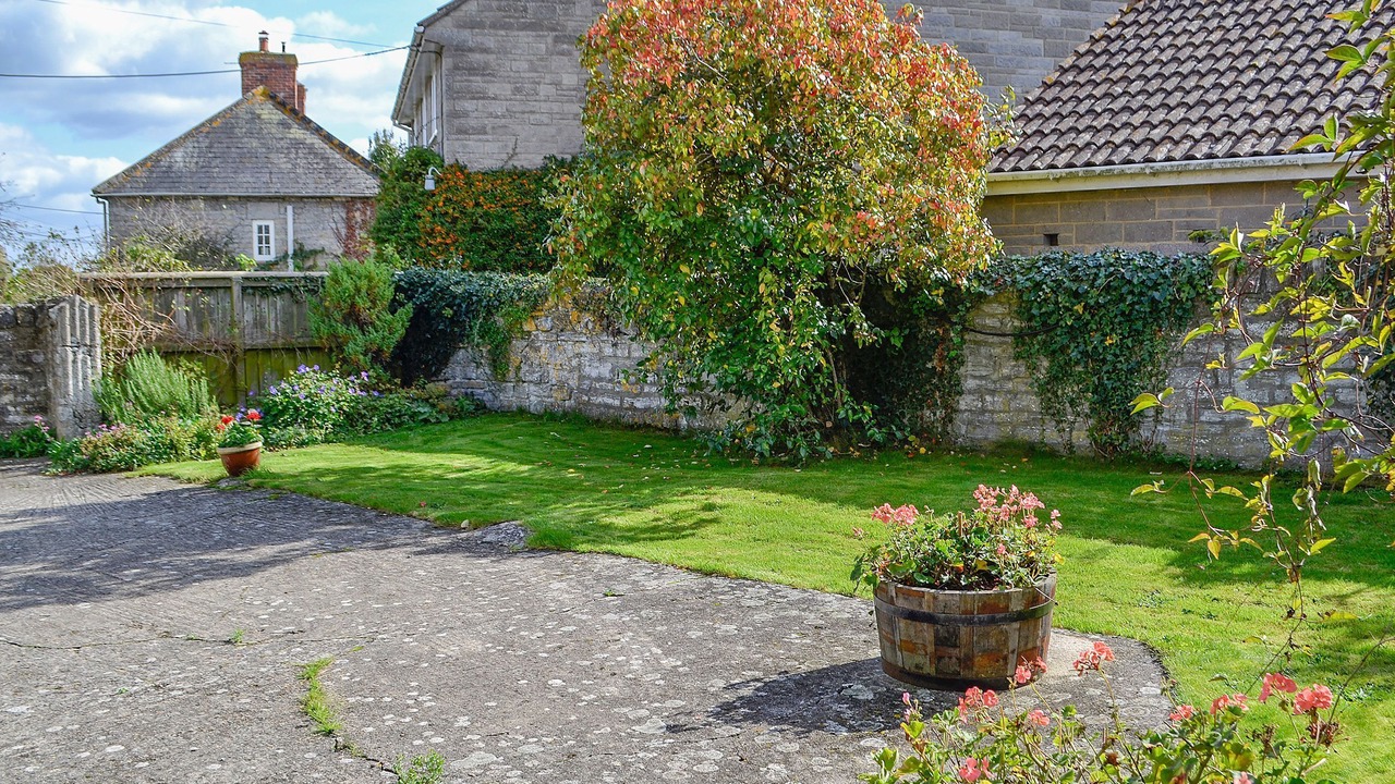 Photo of Outdoor in Muchelney
