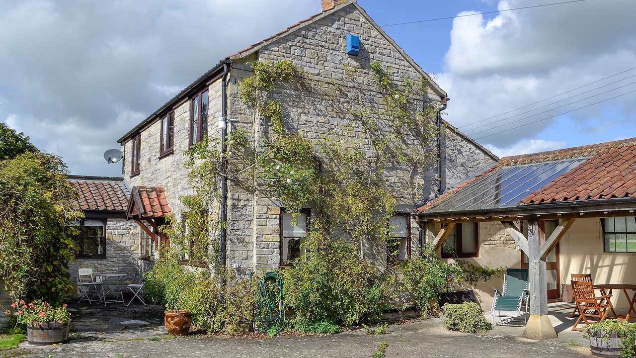 Photo of Others in Muchelney