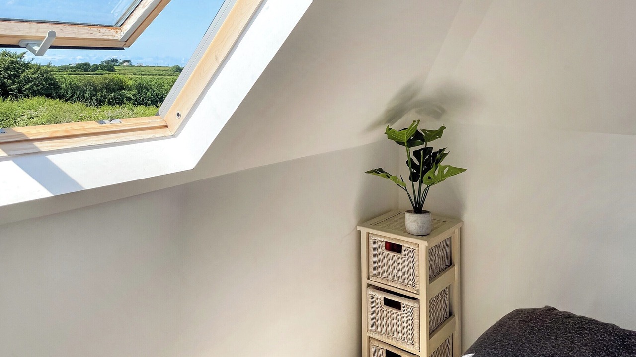 Photo of Others in Treator