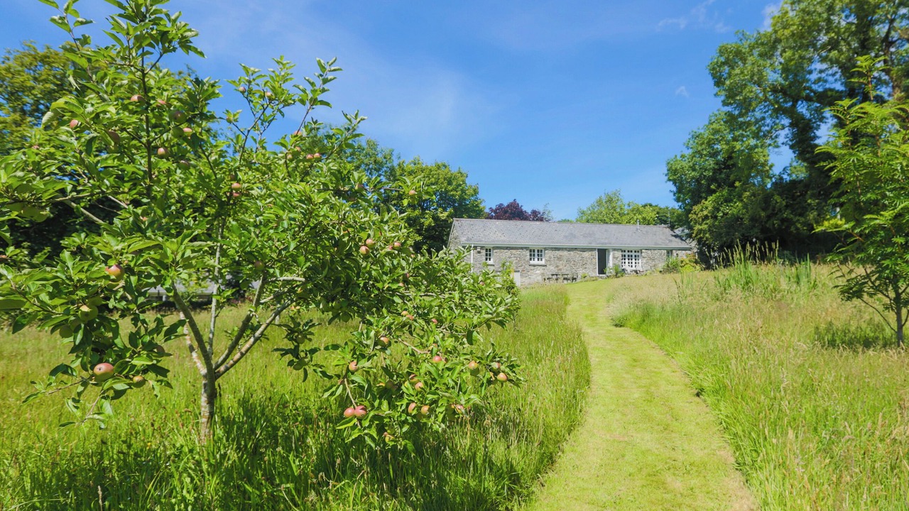 Photo of Others in St Teath