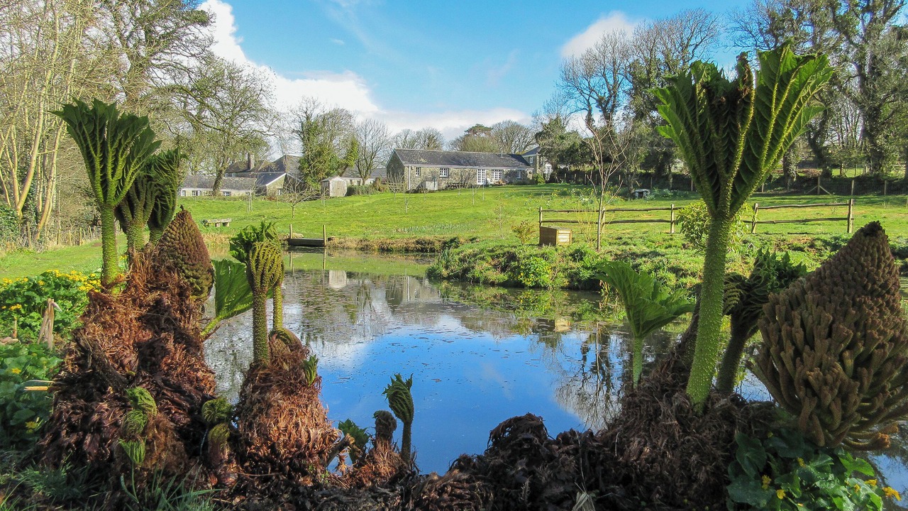 Photo of Others in St Teath