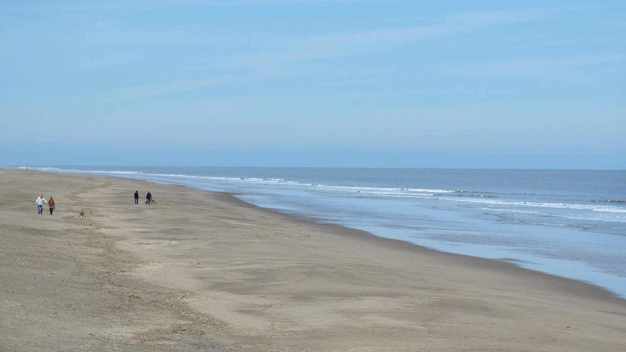 Photo of Others in Nettleton