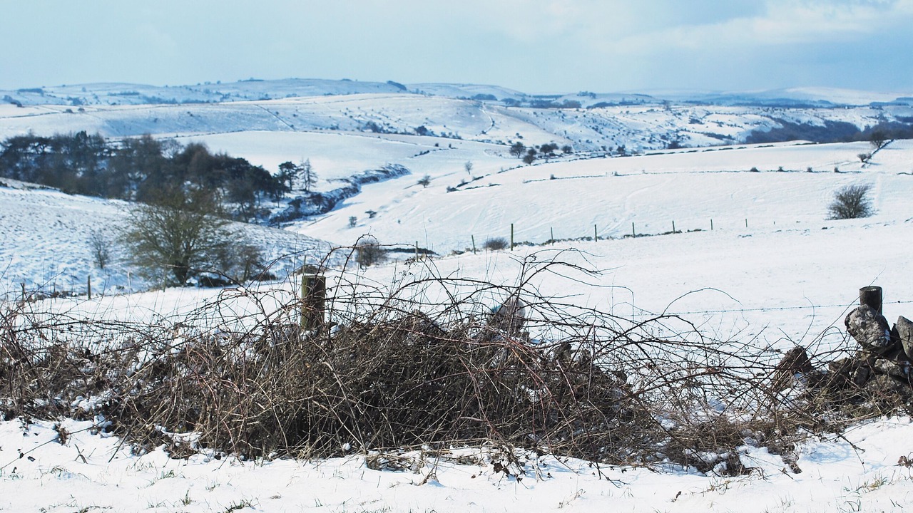 Photo of Others in Castleton