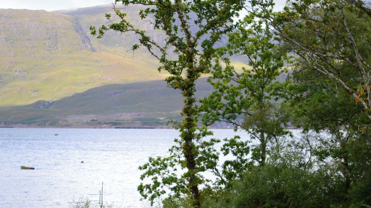 Photo of Others in Strathcarron