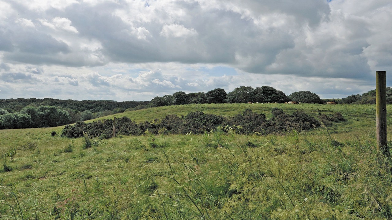 Photo of Others in Kibblesworth