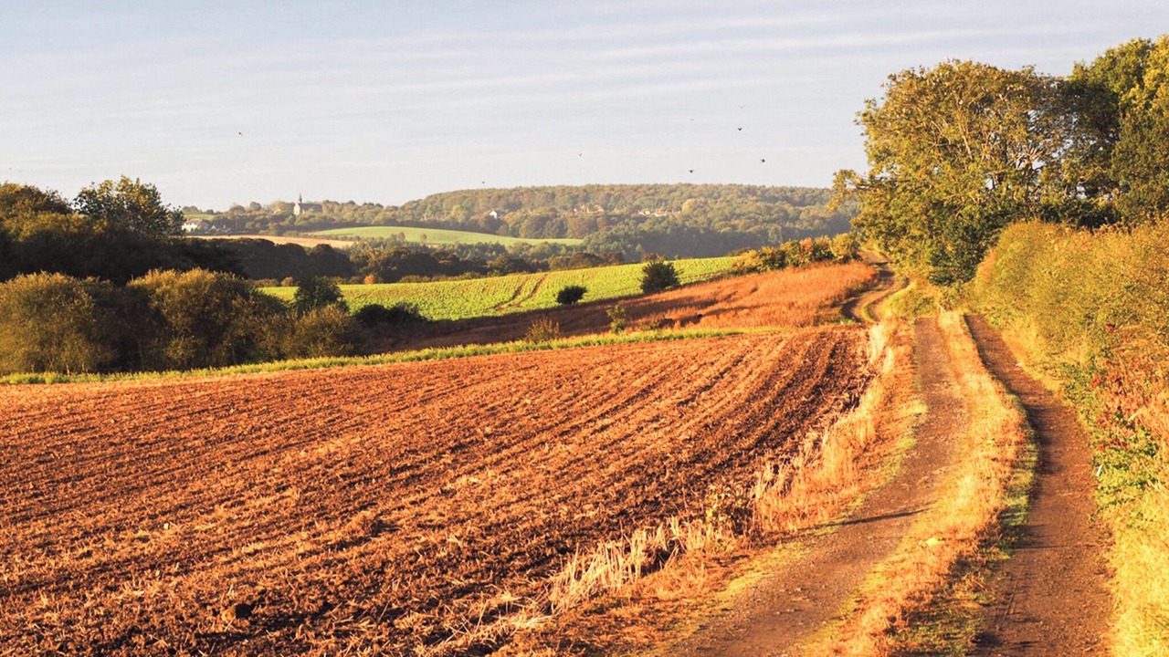 Photo of Others in Kibblesworth