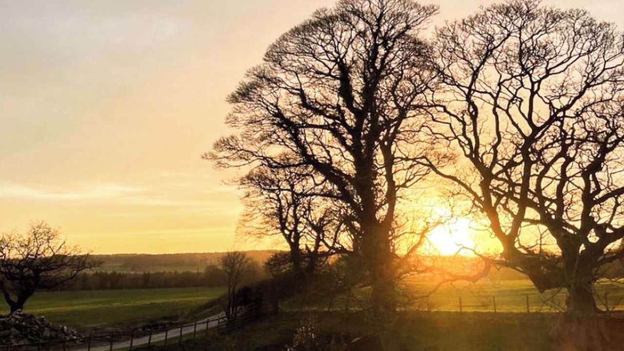 Photo of Others in Kibblesworth