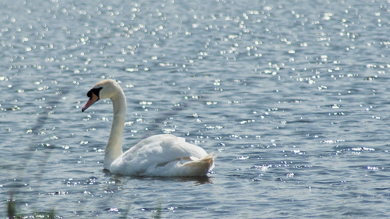 Photo of Others in Ferryhill