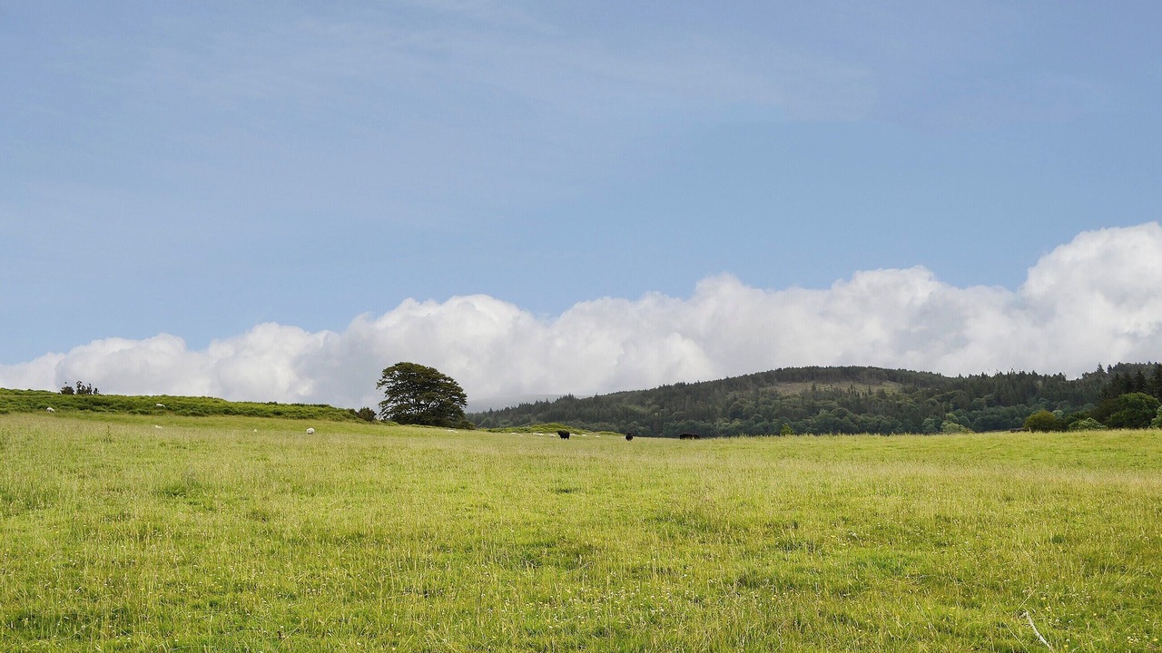 Photo of Others in Newton Stewart