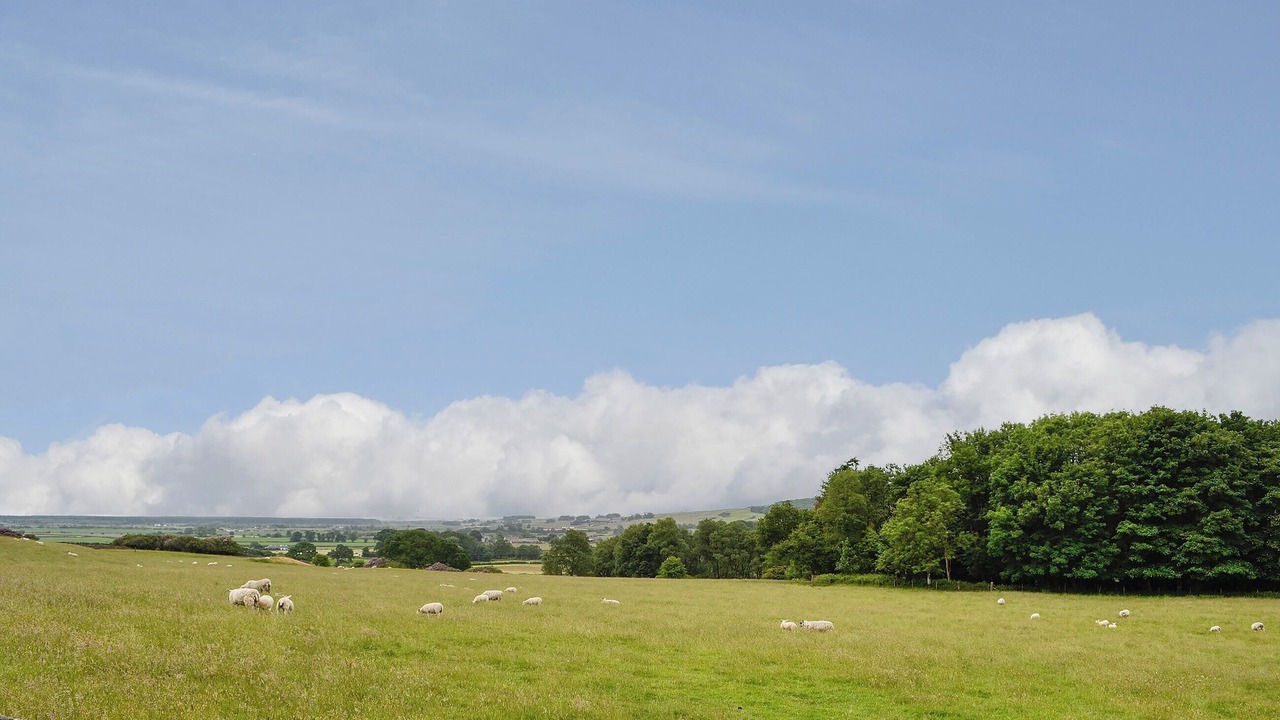 Photo of Others in Newton Stewart