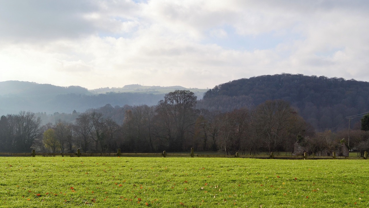 Photo of Others in Tintern