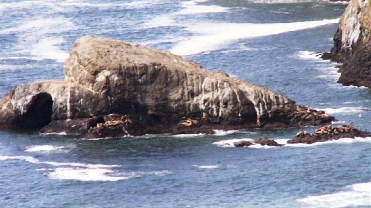 Photo of Others in Oceanside