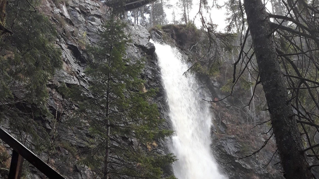 Photo of Others in Lewiston