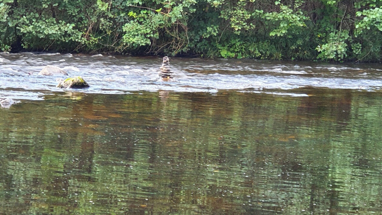 Photo of Others in Lewiston