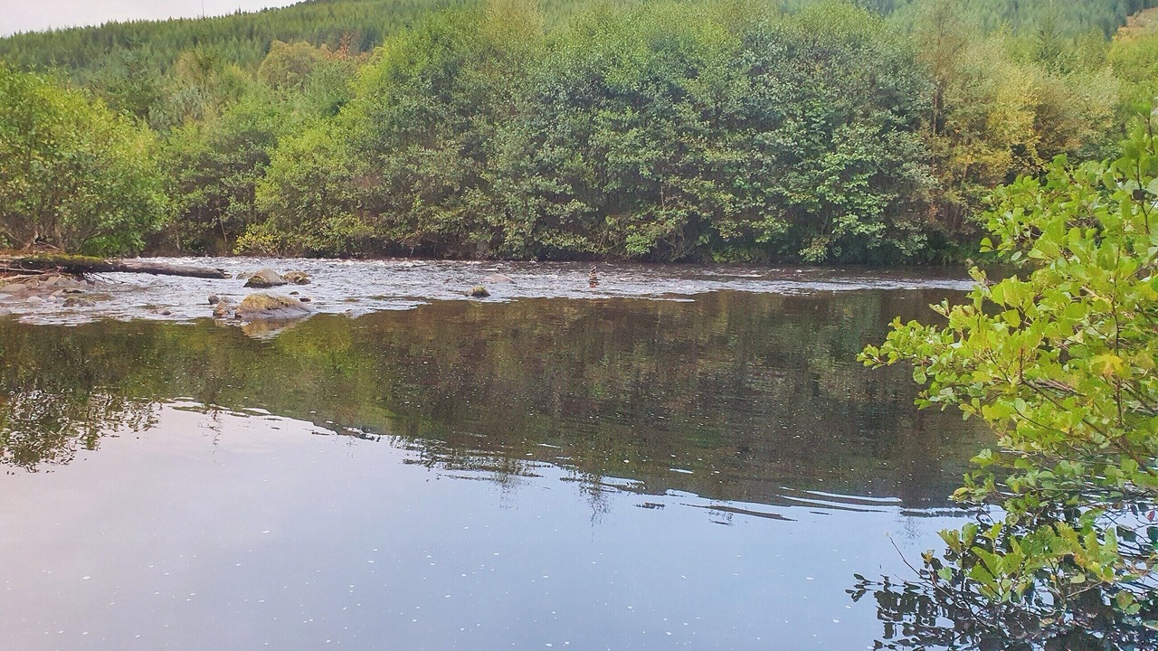 Photo of Others in Lewiston