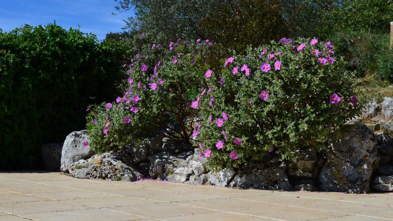 Photo of Outdoor in Lussan