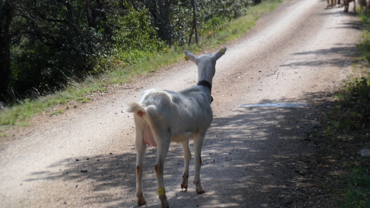 Photo of Outdoor in Lussan