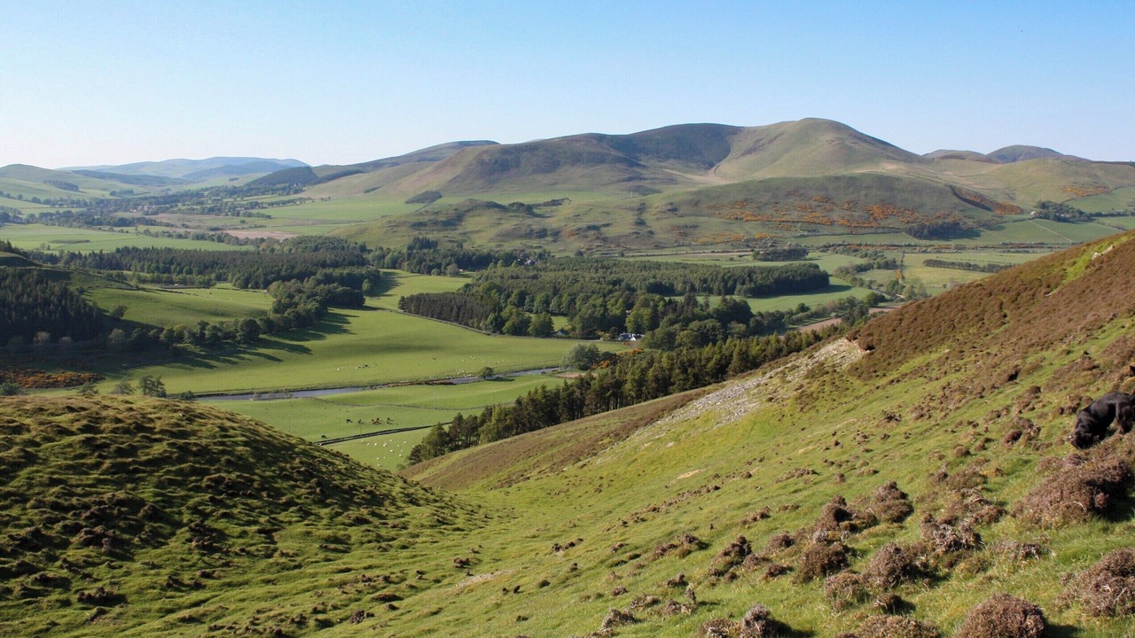 Photo of Others in Biggar