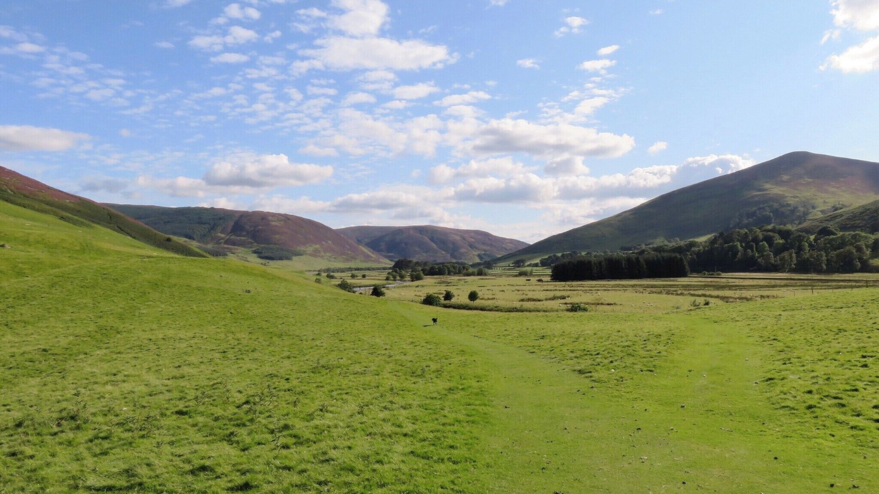 Photo of Others in Biggar