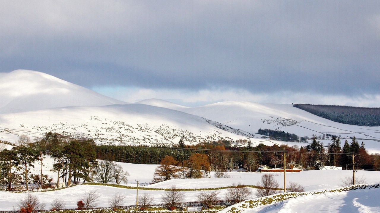 Photo of Others in Biggar