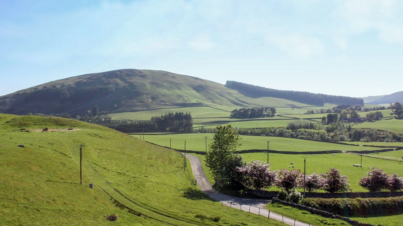 Photo of Others in Biggar