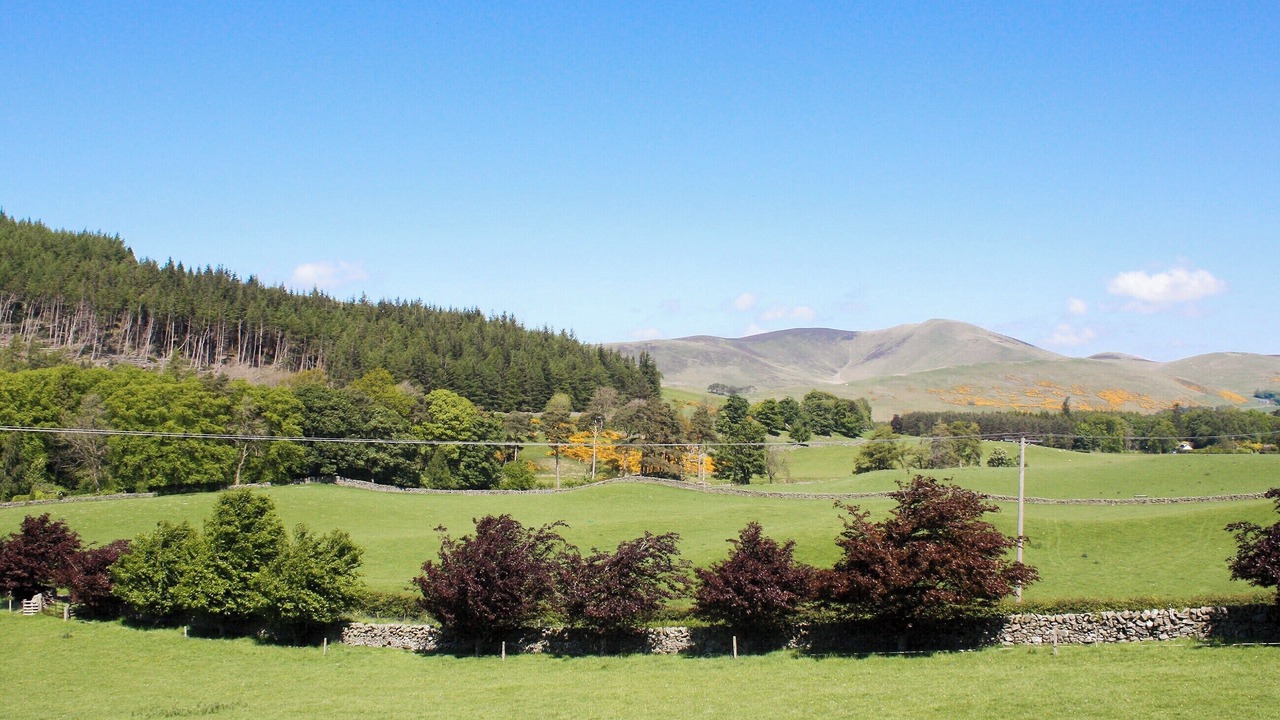 Photo of Others in Biggar