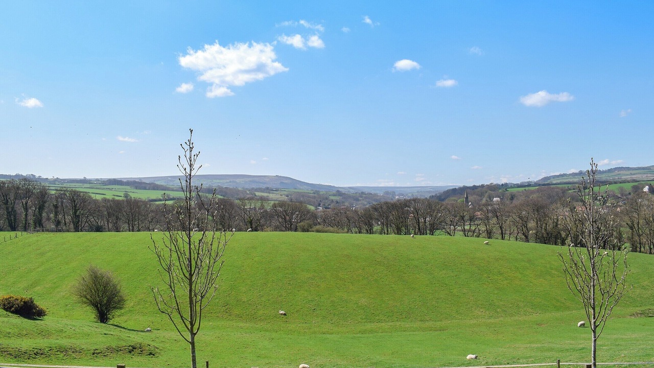 Photo of Others in Ruswarp