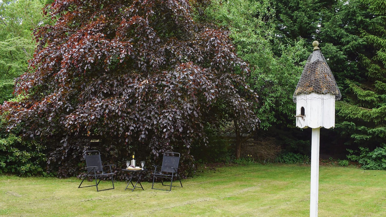 Photo of Outdoor in Aberfeldy