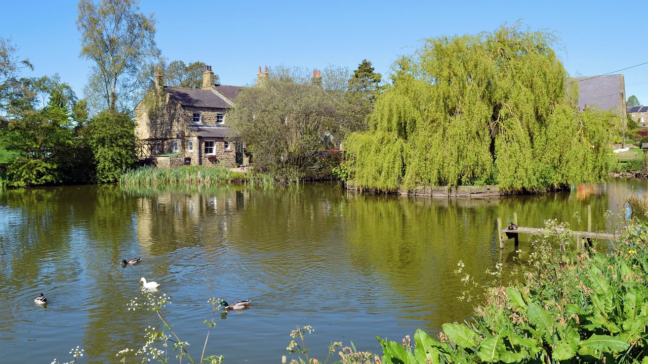 Photo of Outdoor in Grewelthorpe