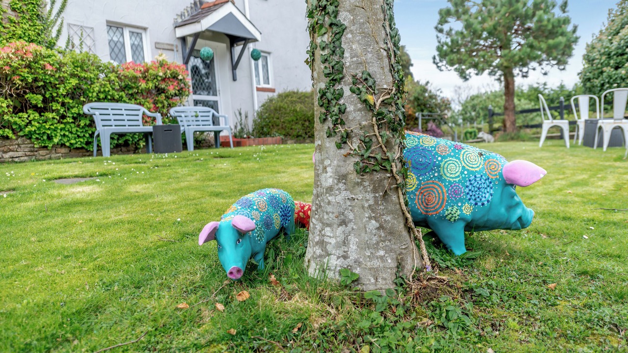 Photo of Outdoor in Gowerton