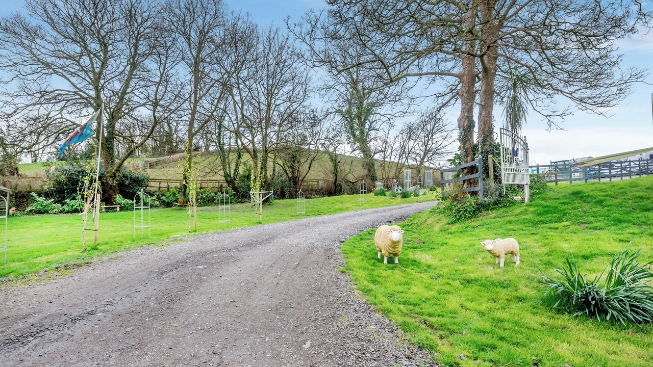 Photo of Others in Gowerton