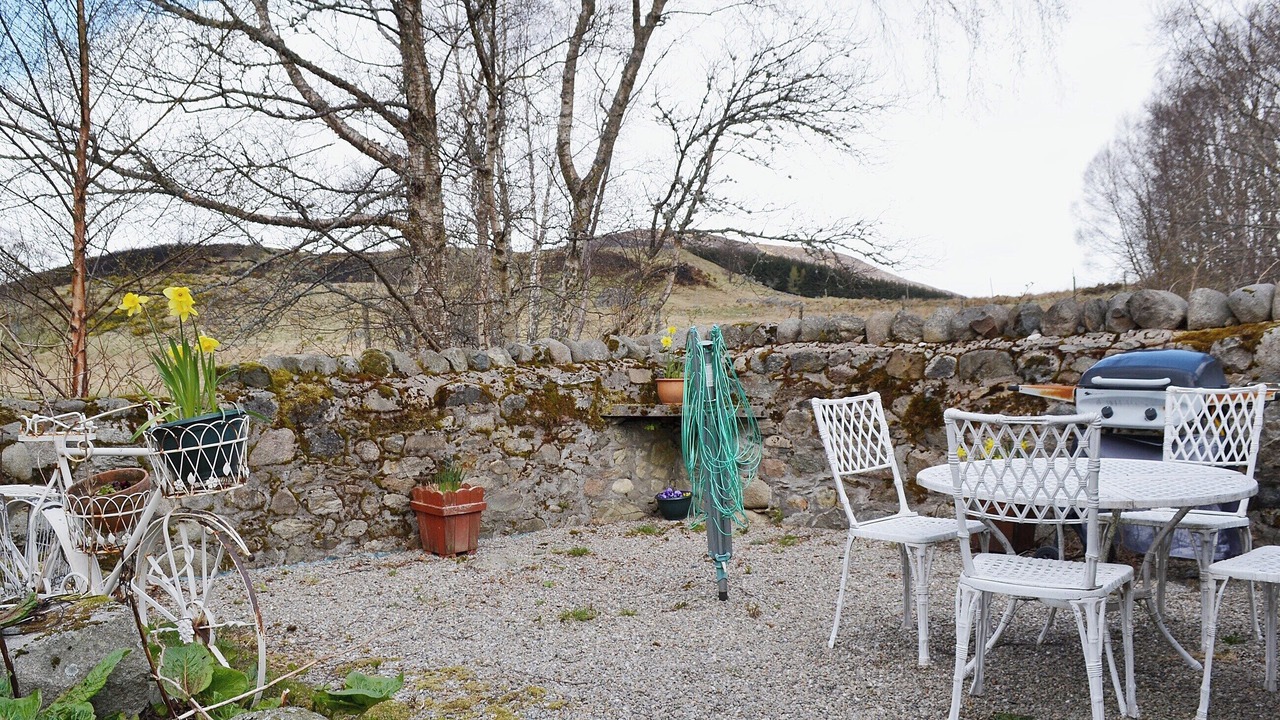 Photo of Others in Alrick